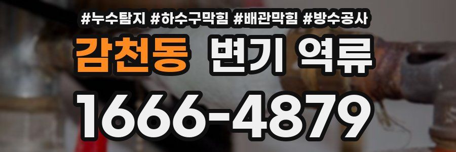감천동 변기 역류