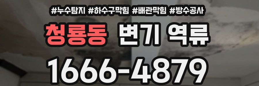 청룡동 변기 역류