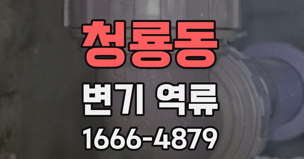 청룡동 변기 역류