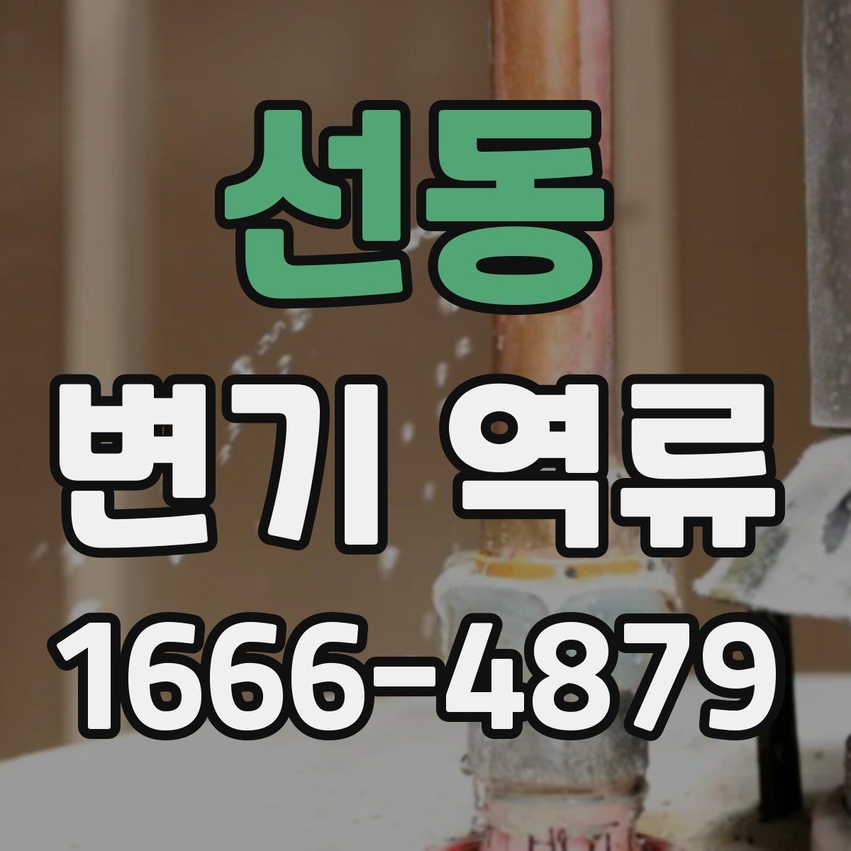 선동 변기 역류 해결 전 확인해야 할 부분