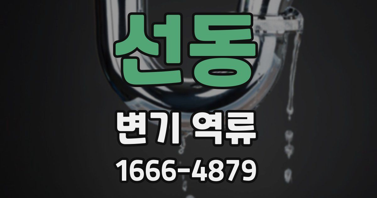 선동 변기 역류