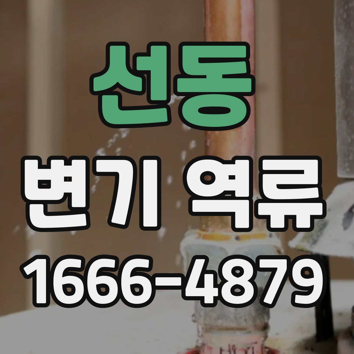 선동 변기 역류