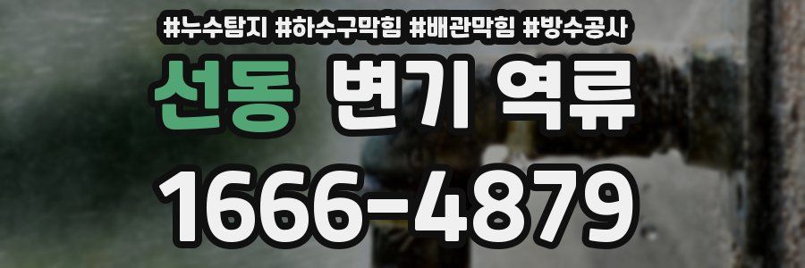 선동 변기 역류