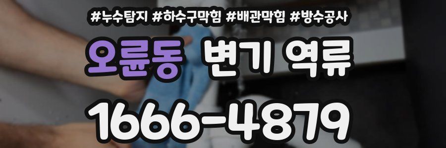 오륜동 변기 역류