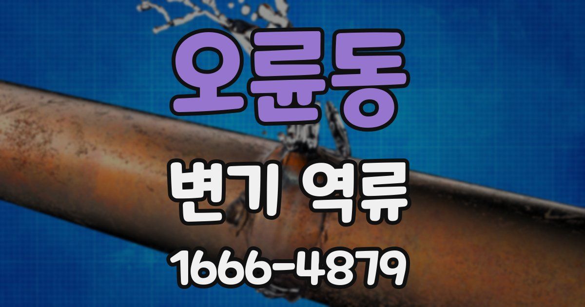 오륜동 변기 역류