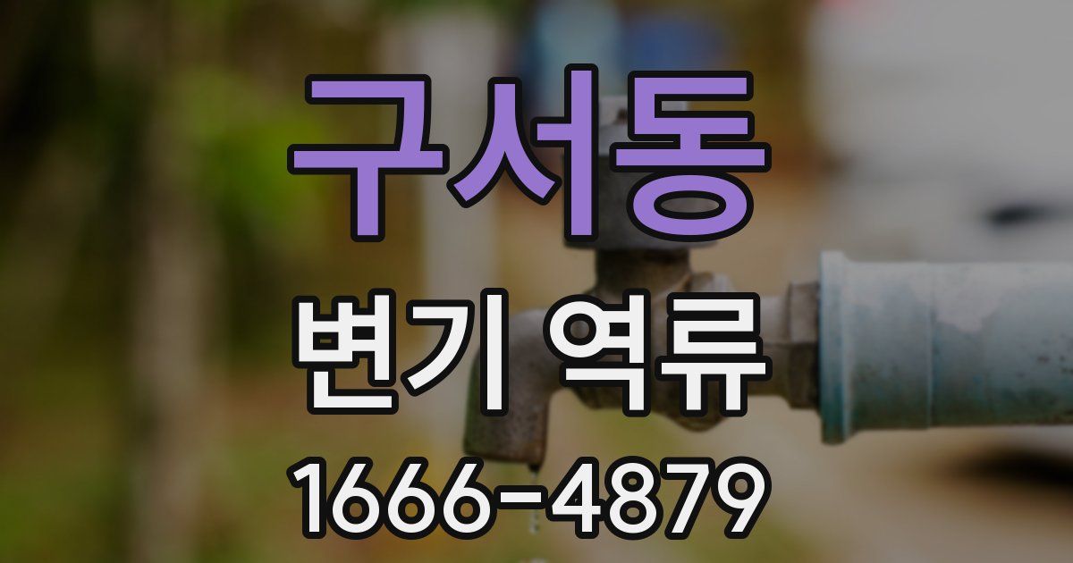 구서동 변기 역류