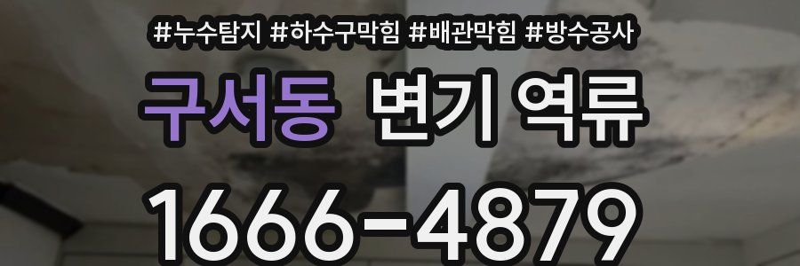구서동 변기 역류