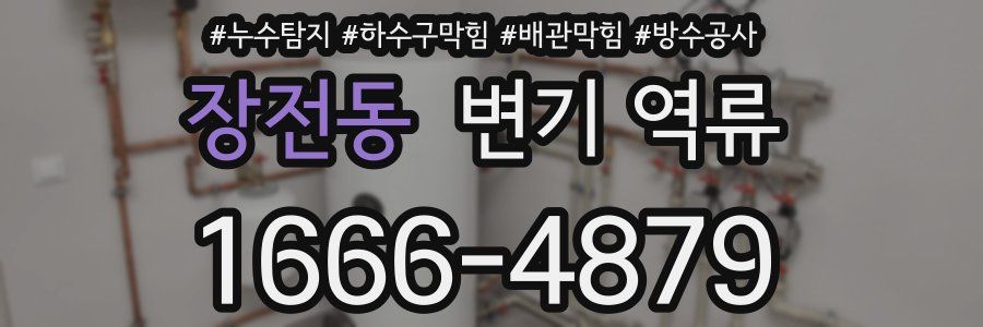 장전동 변기 역류
