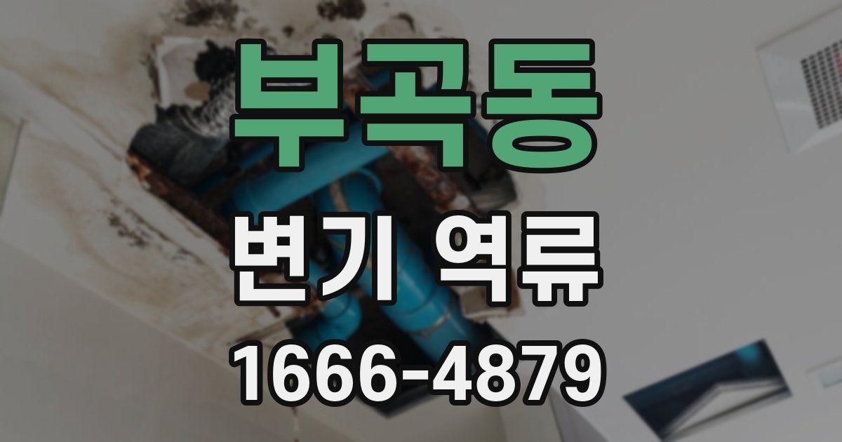 부곡동 변기 역류