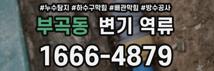 부곡동 변기 역류