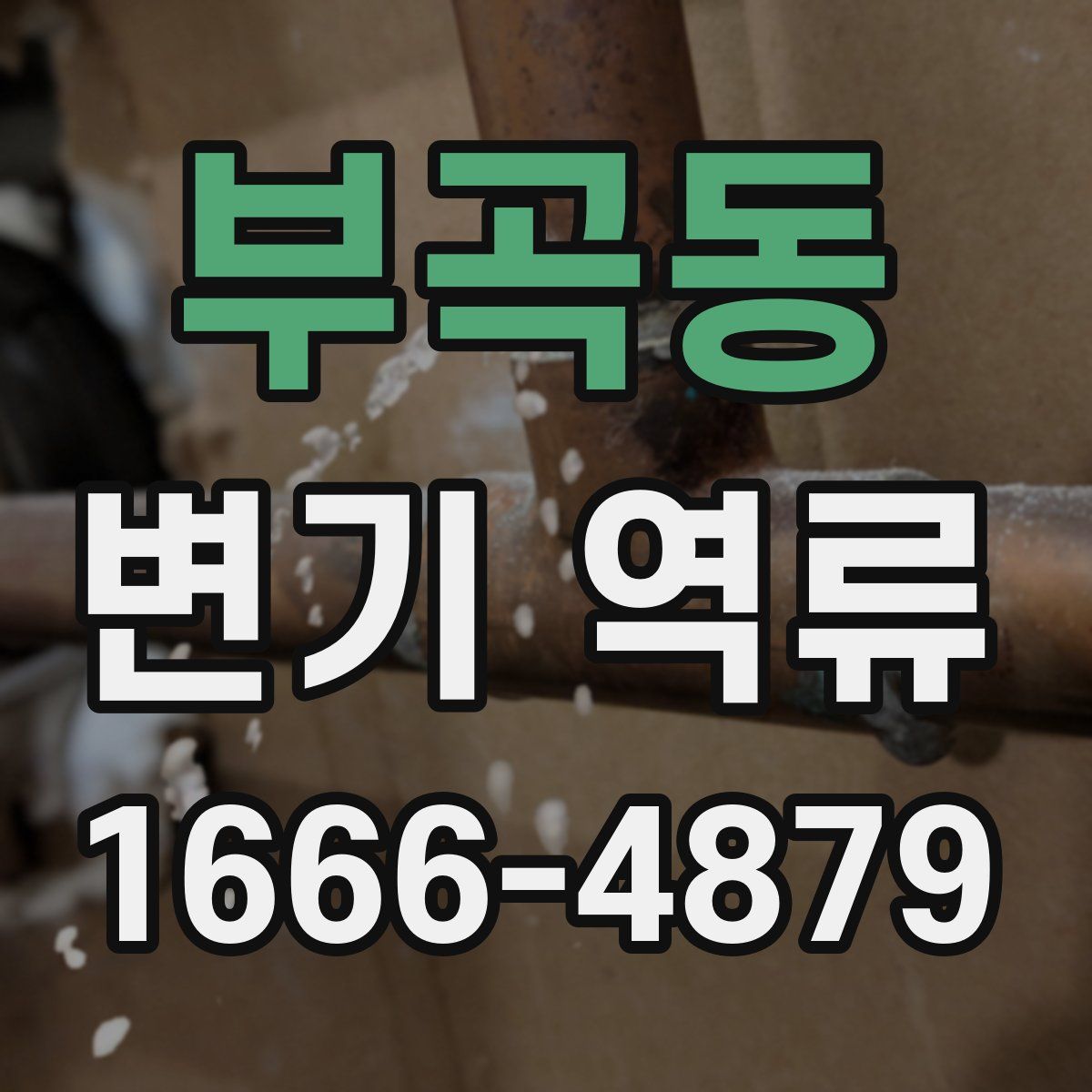부곡동 변기 역류