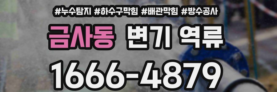 금사동 변기 역류
