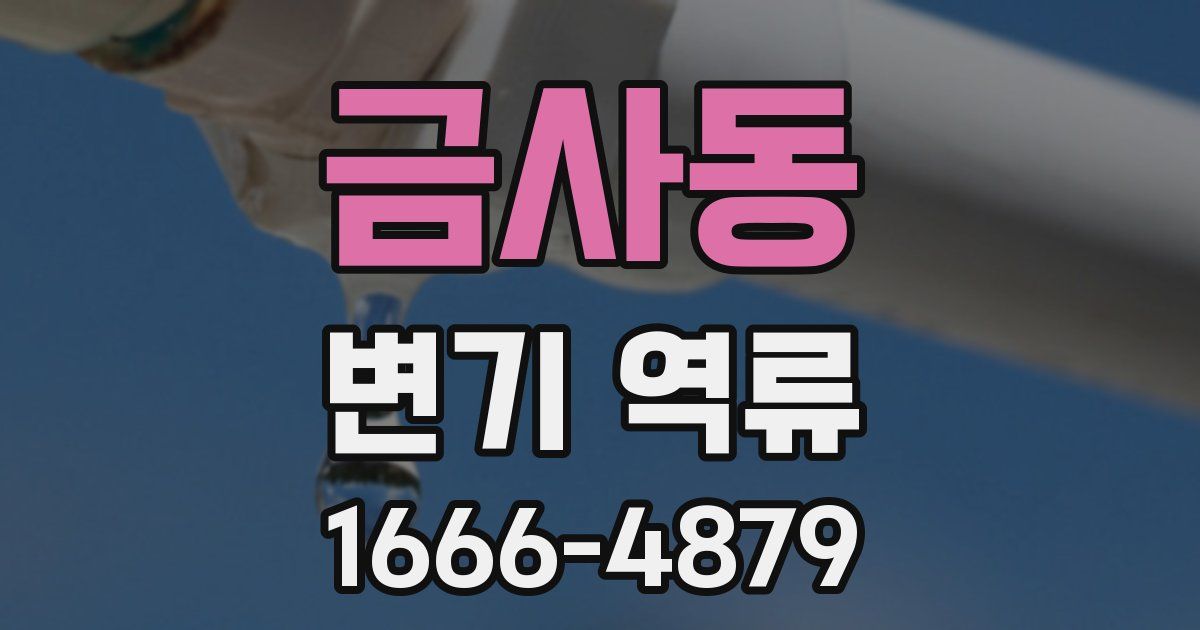 금사동 변기 역류
