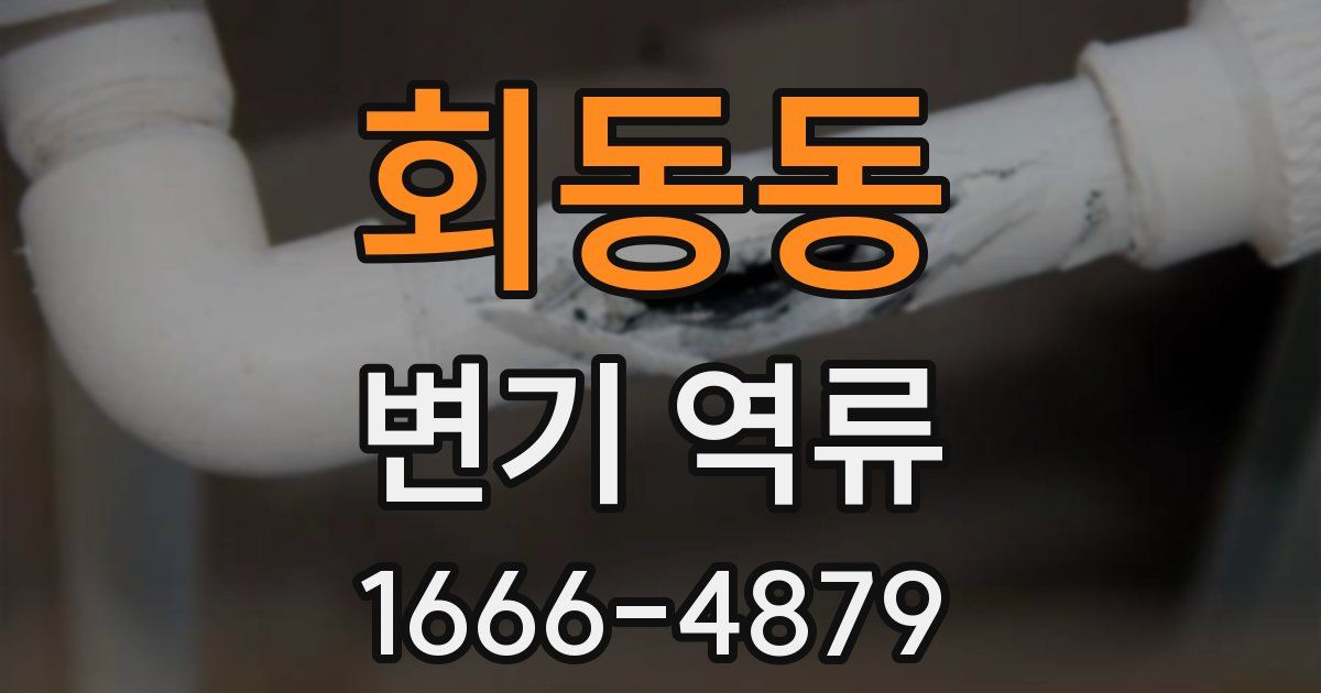 회동동 변기 역류