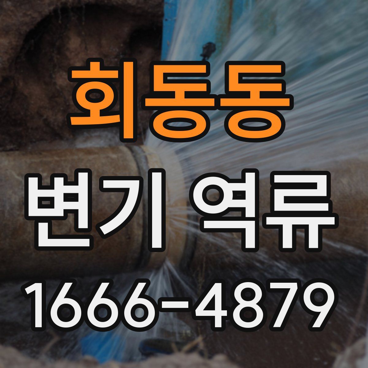 회동동 변기 역류