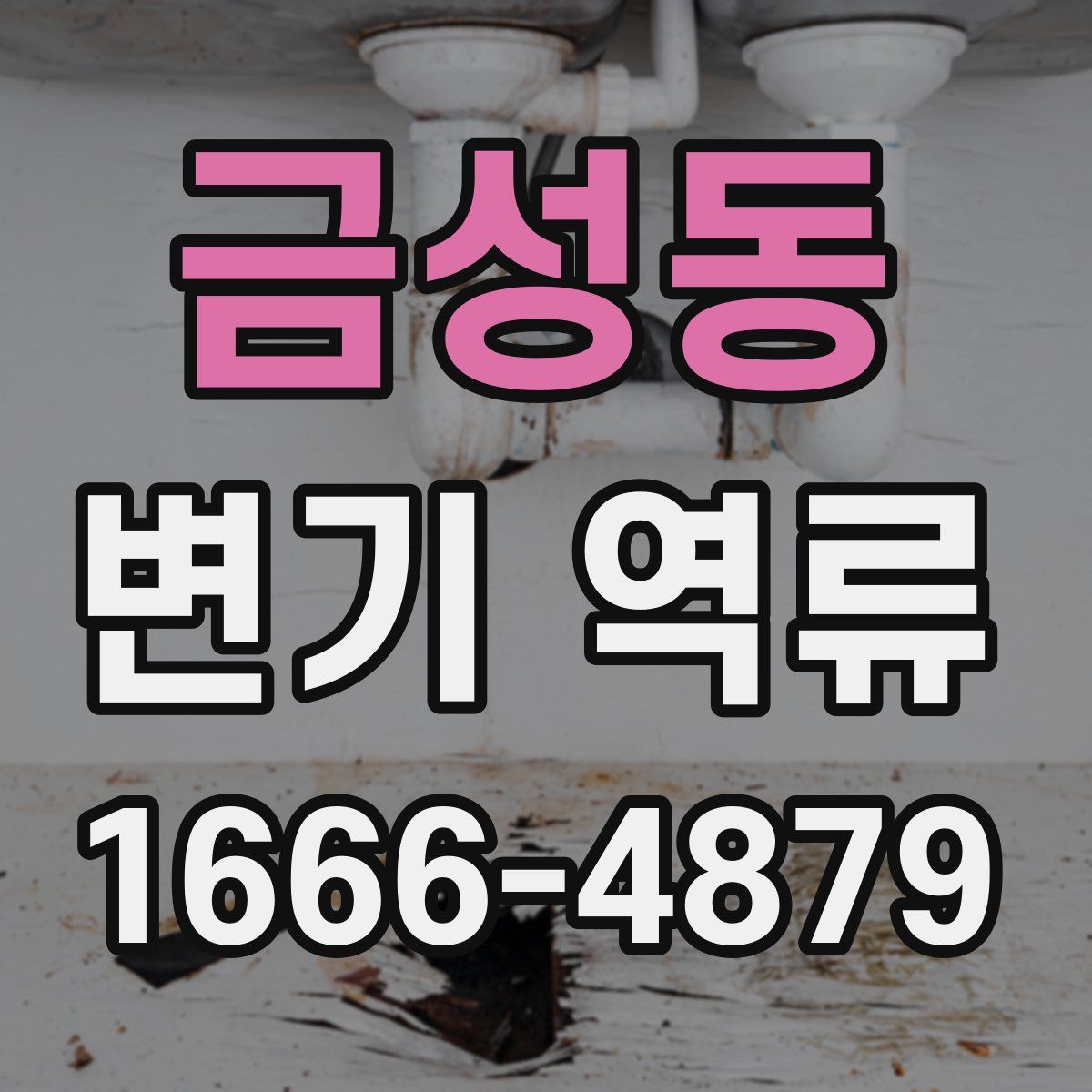 금성동 변기 역류