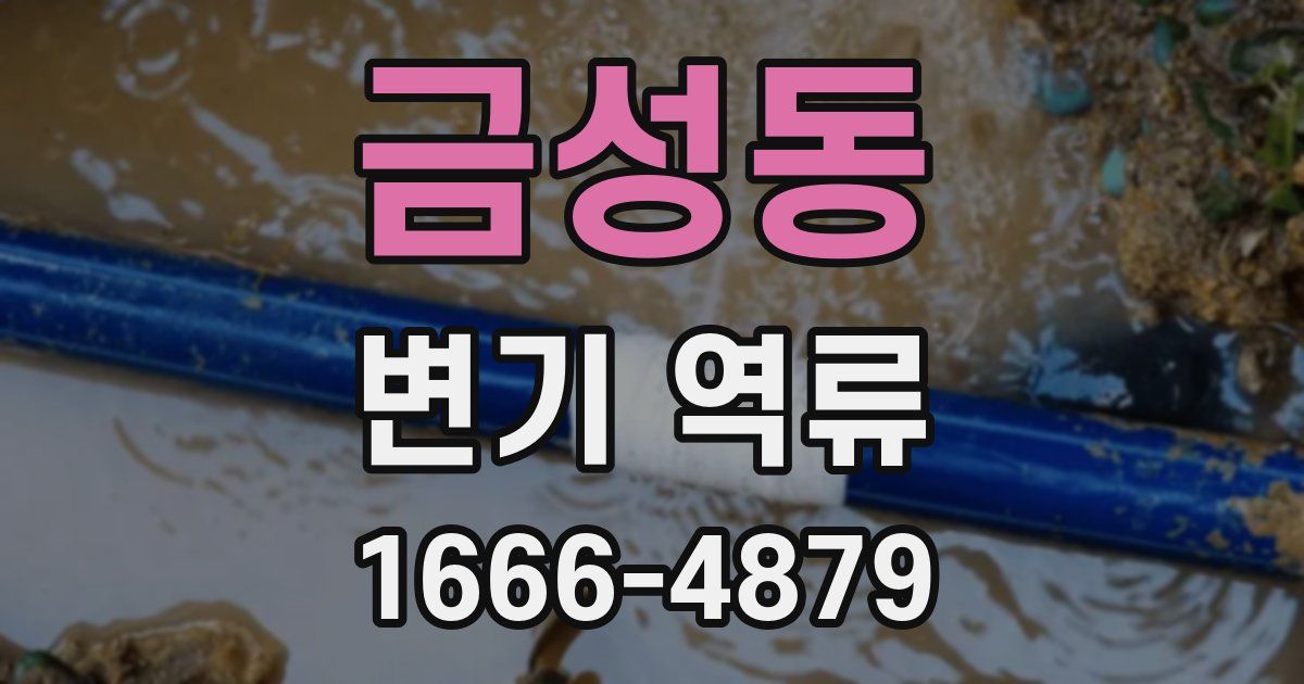 금성동 변기 역류