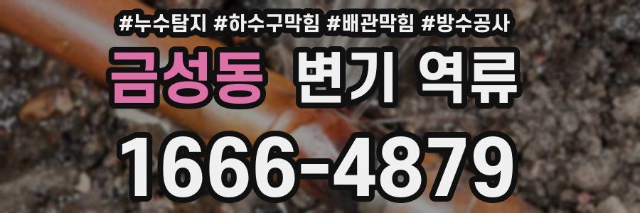 금성동 변기 역류