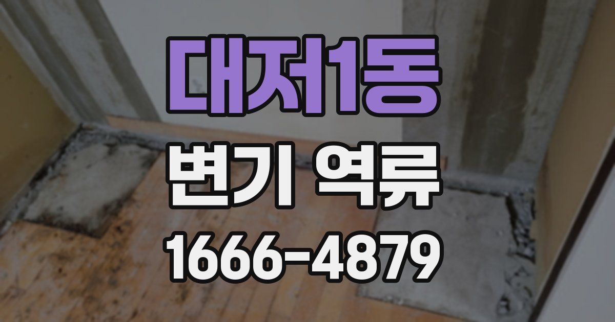 대저1동 변기 역류