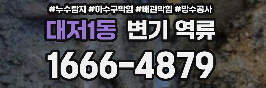 대저1동 변기 역류