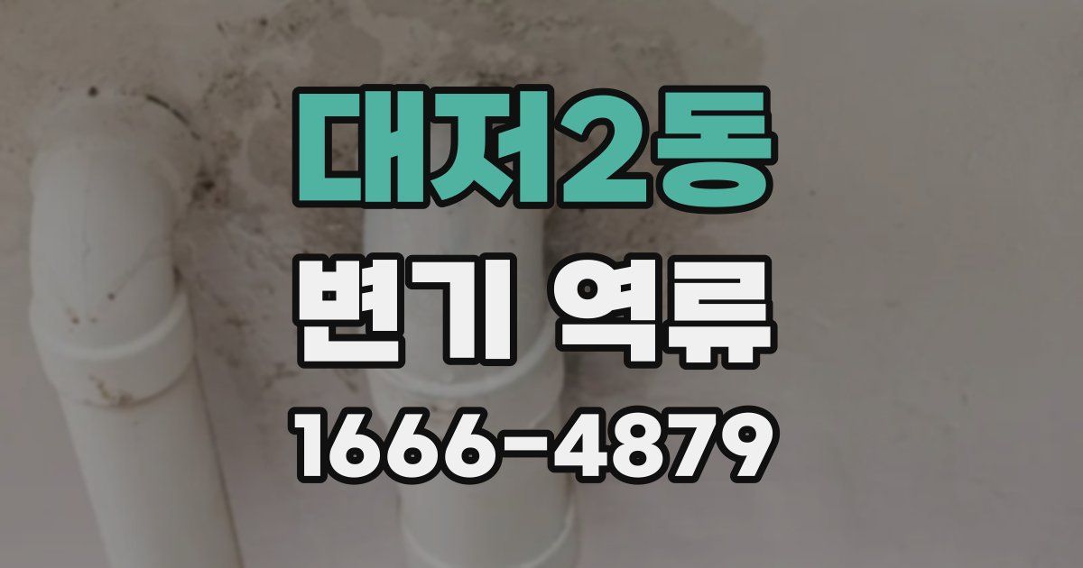대저2동 변기 역류