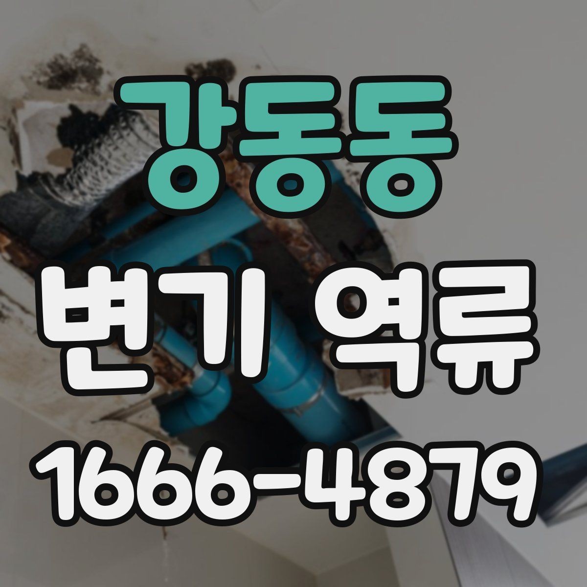 강동동 변기 역류 원인 진단에 필요한 기본 정보
