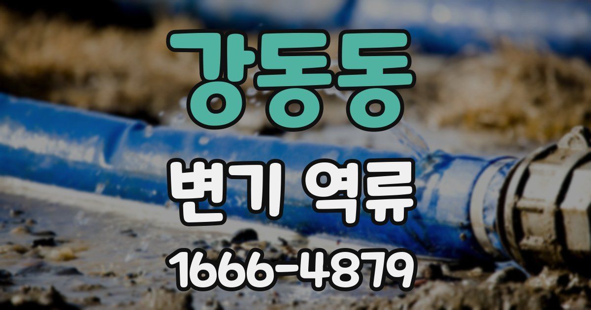 강동동 변기 역류