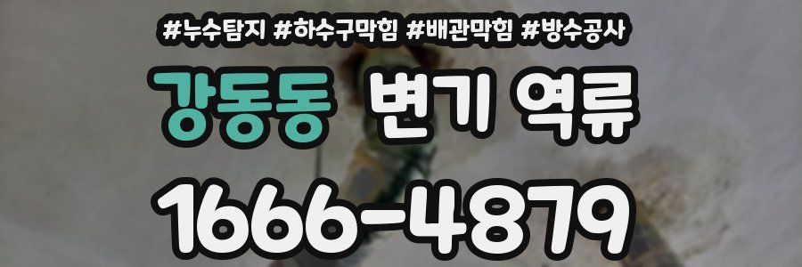 강동동 변기 역류