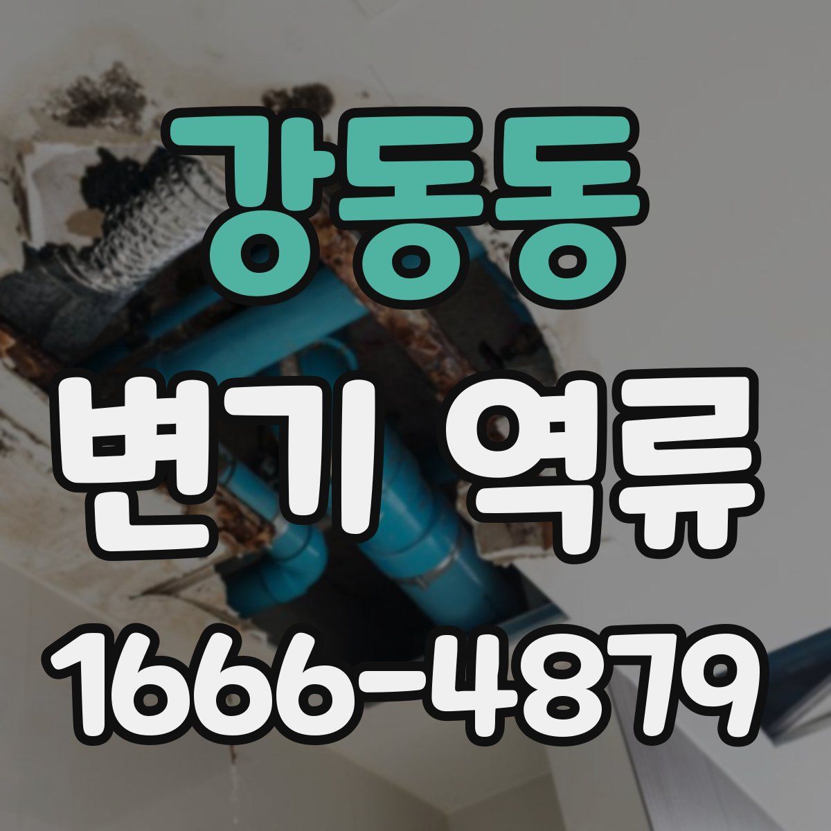 강동동 변기 역류