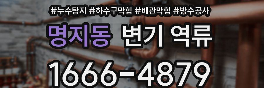 명지동 변기 역류