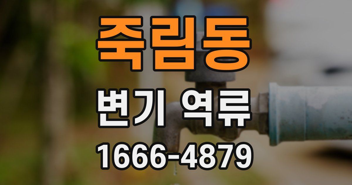 죽림동 변기 역류