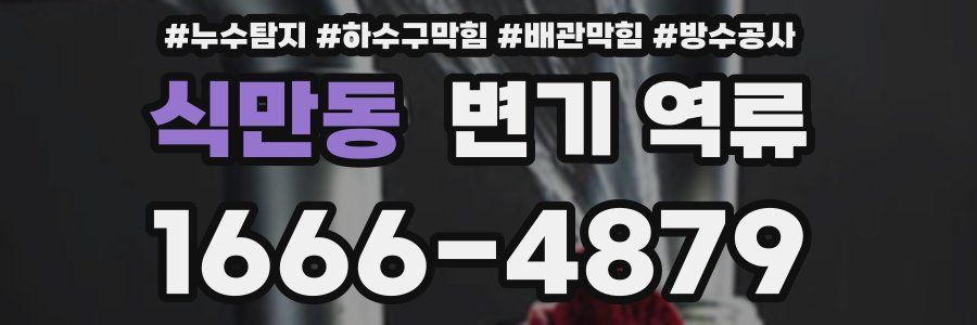 식만동 변기 역류