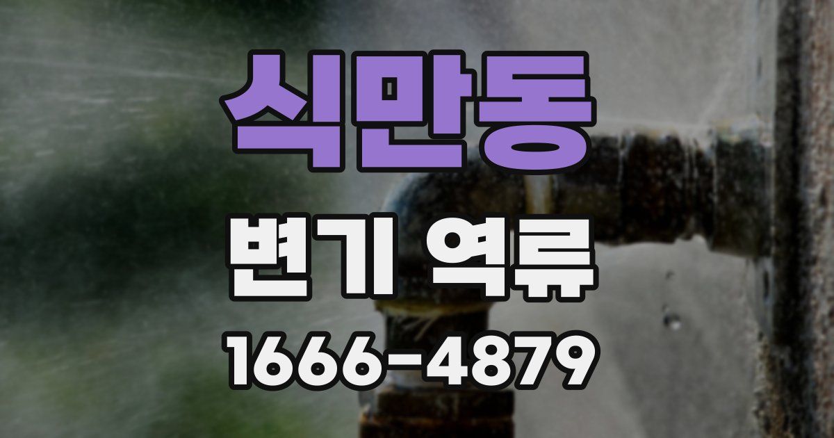 식만동 변기 역류