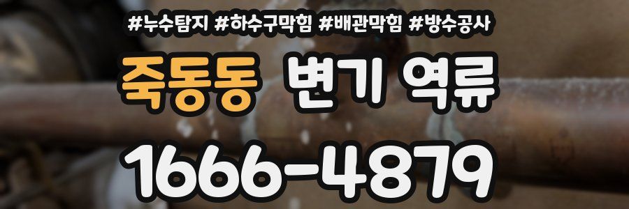 죽동동 변기 역류