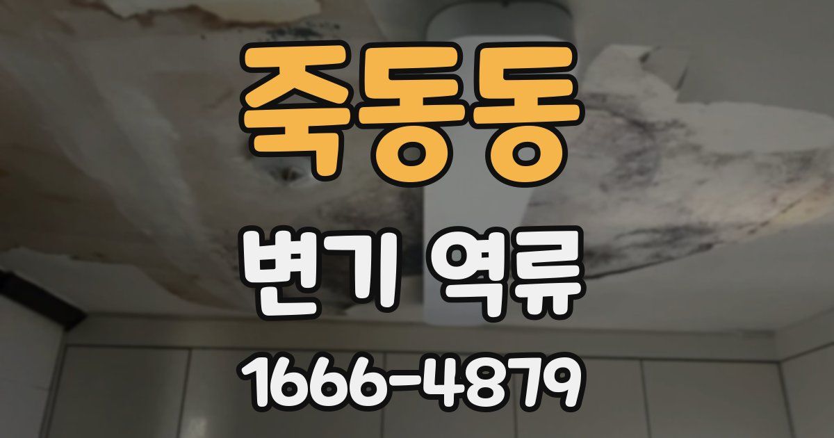 죽동동 변기 역류