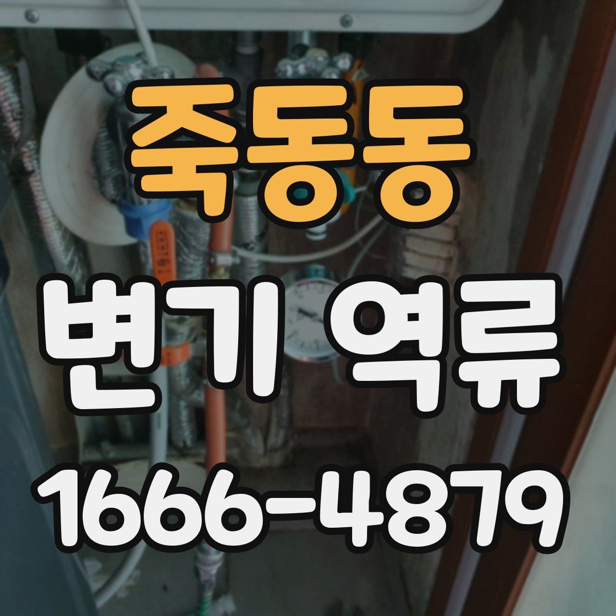 죽동동 변기 역류