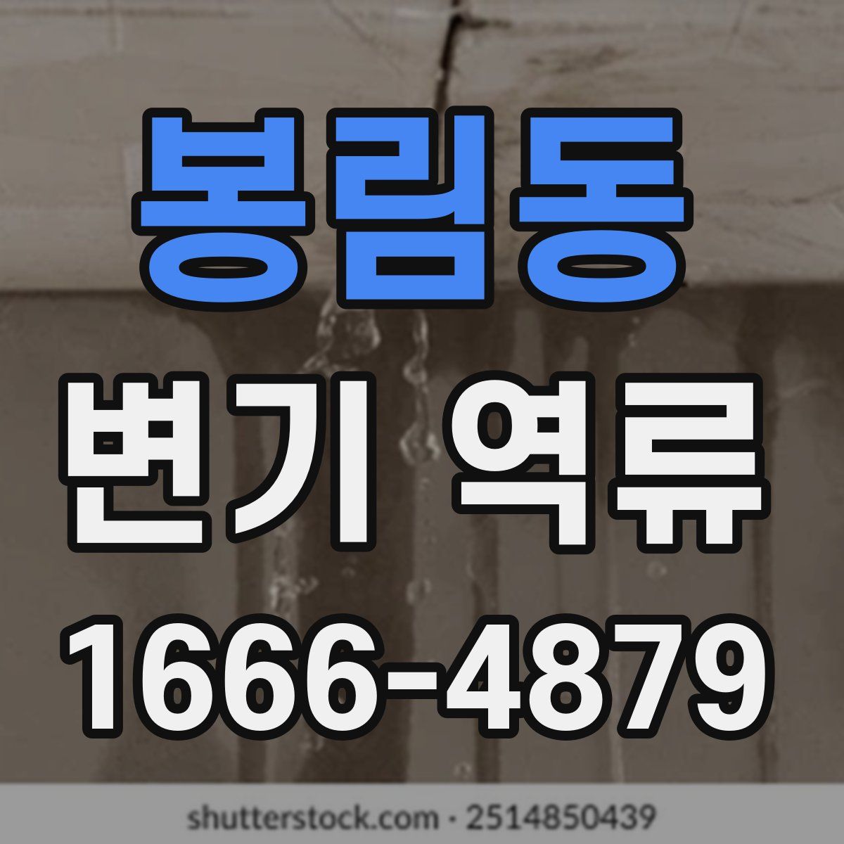 봉림동 변기 역류