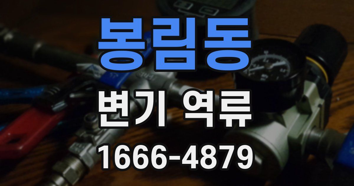 봉림동 변기 역류