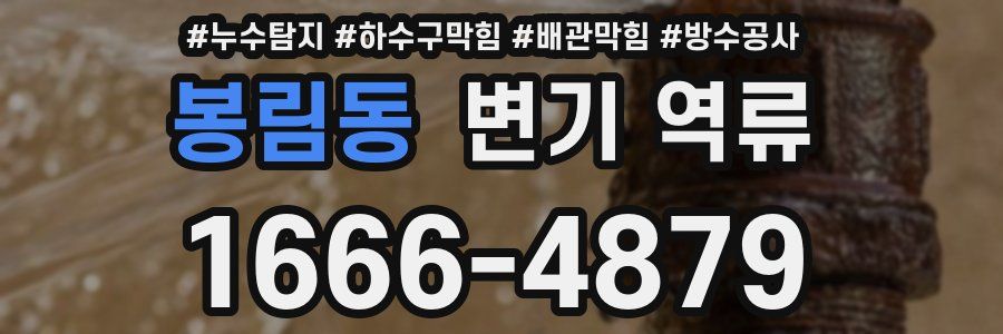봉림동 변기 역류