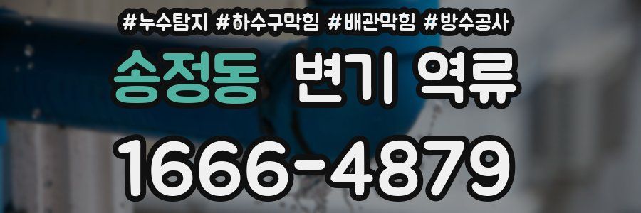 송정동 변기 역류