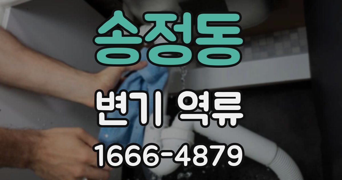 송정동 변기 역류