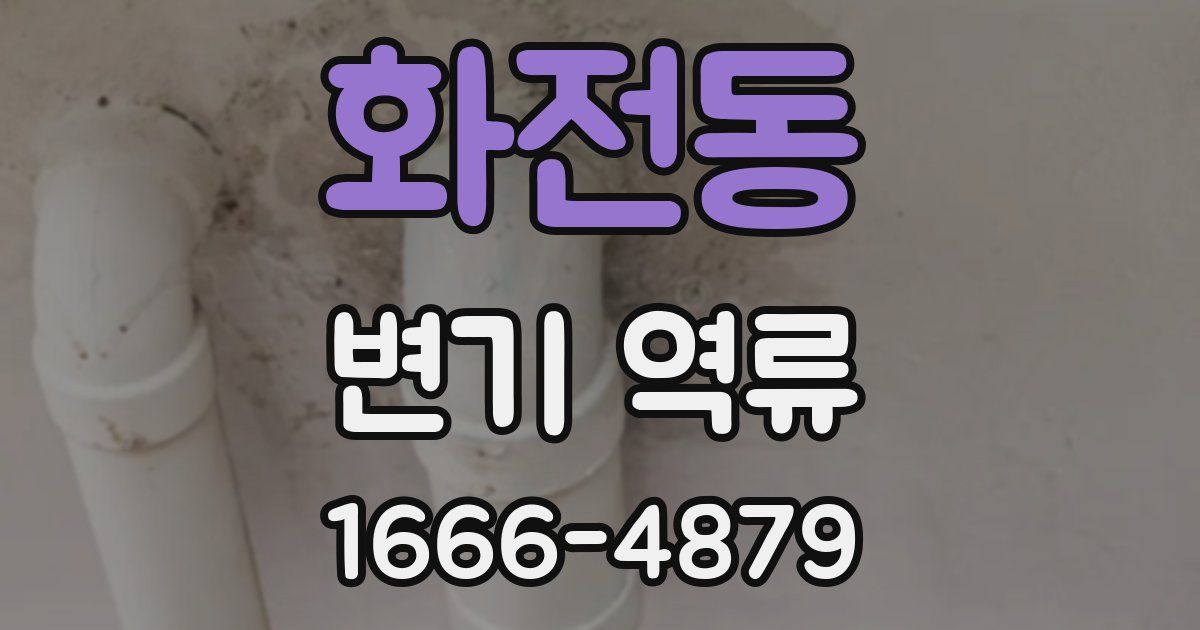 화전동 변기 역류