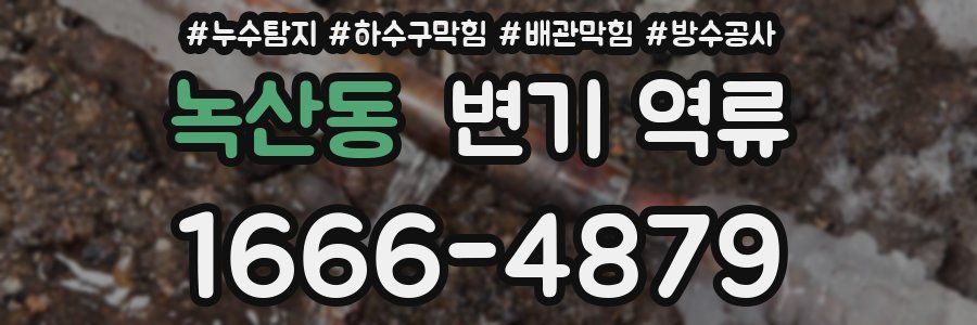 녹산동 변기 역류