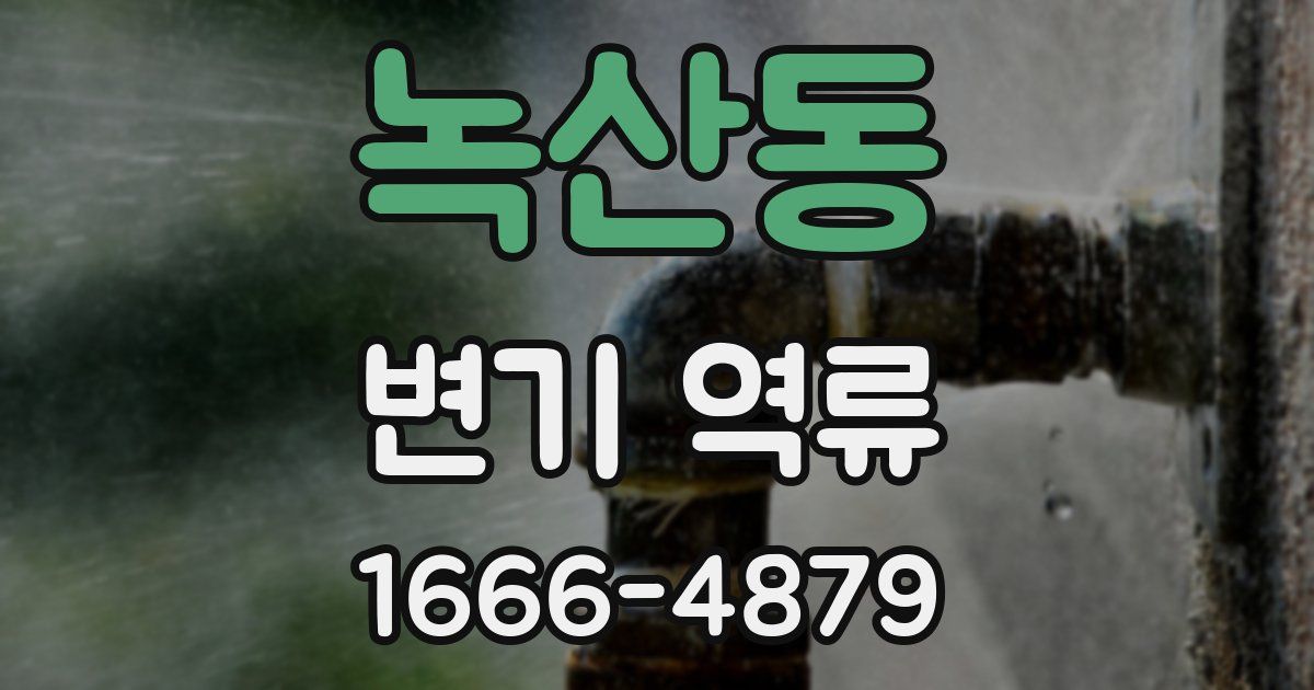 녹산동 변기 역류