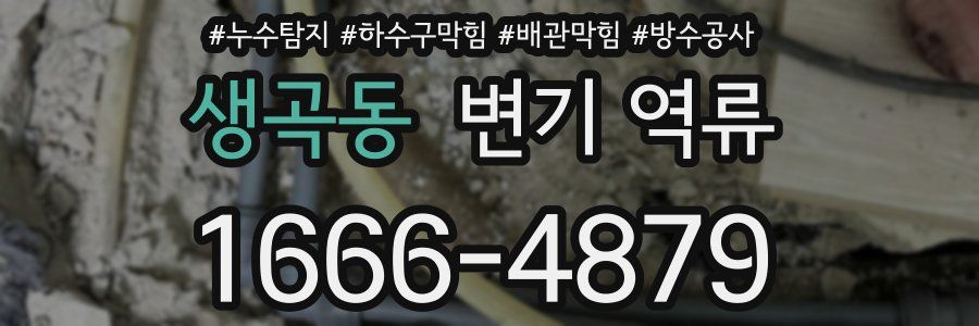 생곡동 변기 역류