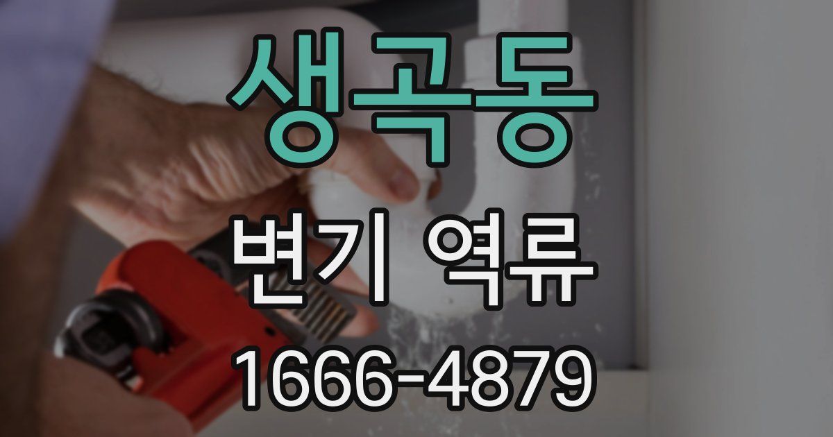 생곡동 변기 역류