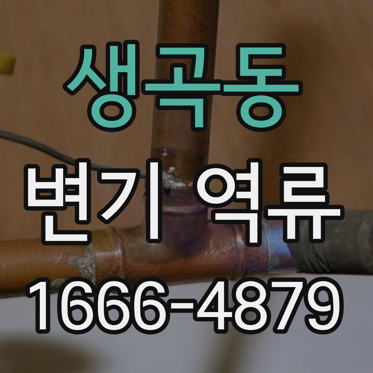생곡동 변기 역류