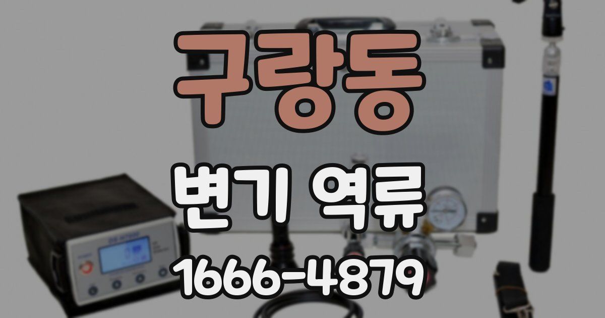 구랑동 변기 역류