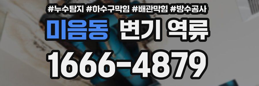 미음동 변기 역류