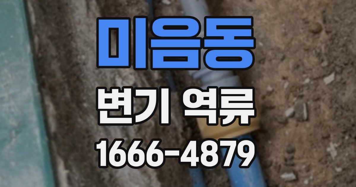 미음동 변기 역류